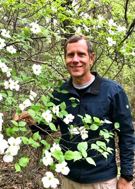 David Hurt Dogwood Blooms